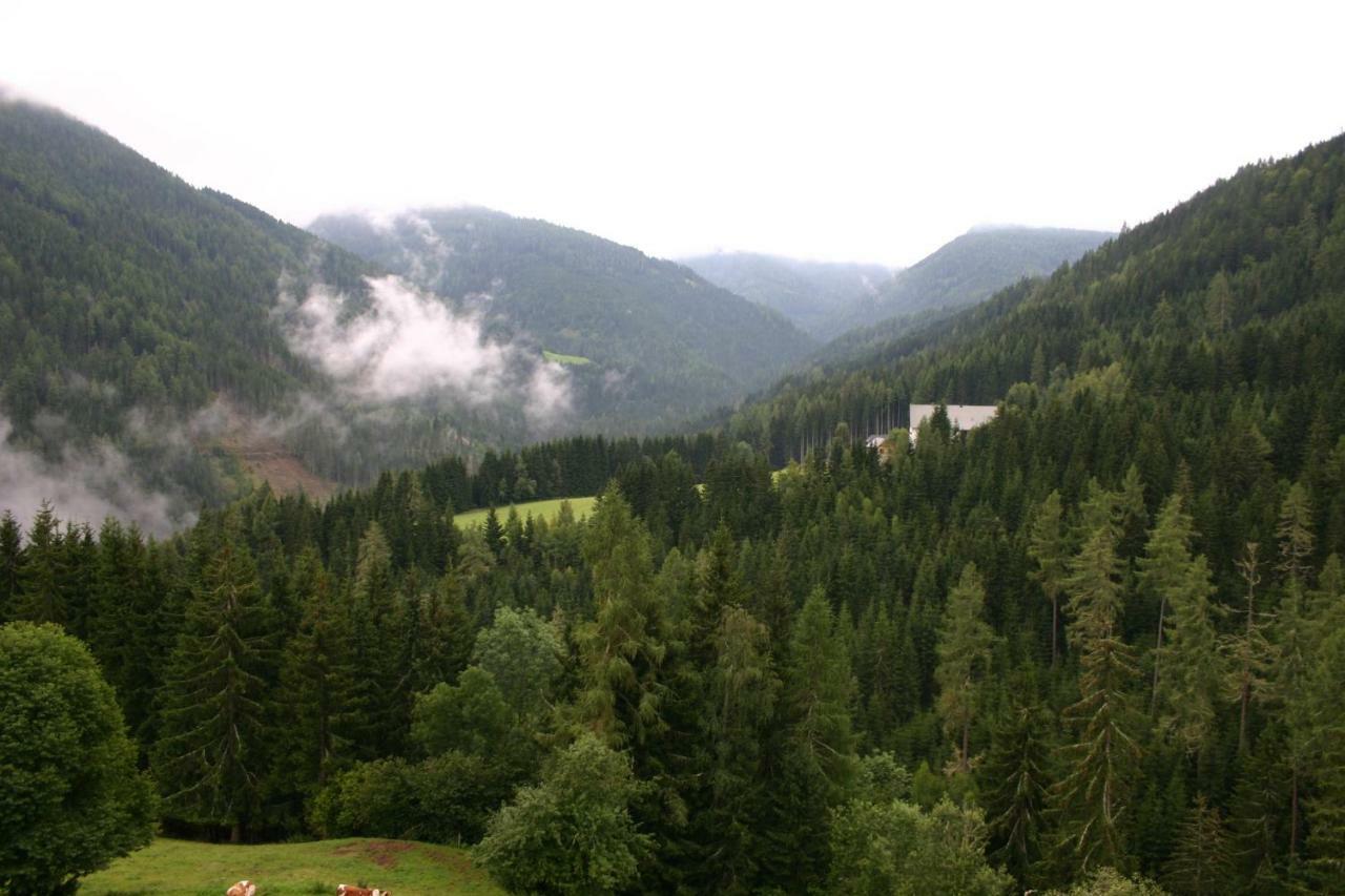 Fewo Nr. 15 Haus Konradgut Sankt Lorenzen ob Murau Exteriör bild